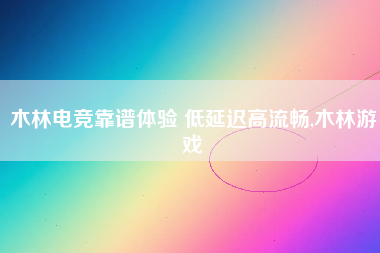 木林电竞靠谱体验 低延迟高流畅,木林游戏