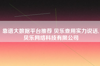 靠谱大数据平台推荐 贝乐查用实力说话,贝乐网络科技有限公司