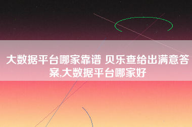 大数据平台哪家靠谱 贝乐查给出满意答案,大数据平台哪家好