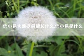 信小易大数据最擅长什么,信小易是什么