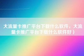 大流量卡推广平台下载什么软件，大流量卡推广平台下载什么软件好）