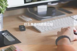 什么是亚马逊独立站