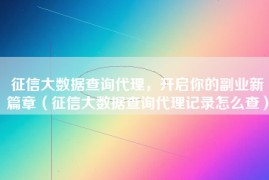 征信大数据查询代理，开启你的副业新篇章（征信大数据查询代理记录怎么查）