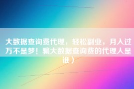 大数据查询费代理，轻松副业，月入过万不是梦！骗大数据查询费的代理人是谁）
