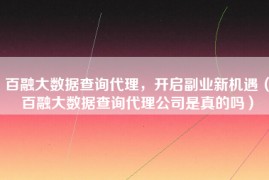 百融大数据查询代理，开启副业新机遇（百融大数据查询代理公司是真的吗）