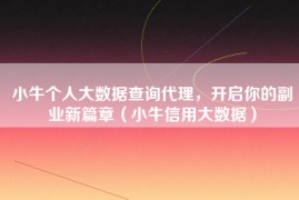 小牛个人大数据查询代理，开启你的副业新篇章（小牛信用大数据）