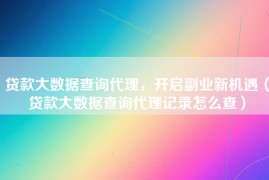 贷款大数据查询代理，开启副业新机遇（贷款大数据查询代理记录怎么查）