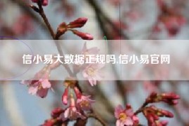 信小易大数据正规吗,信小易官网