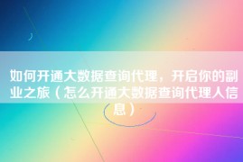 如何开通大数据查询代理，开启你的副业之旅（怎么开通大数据查询代理人信息）