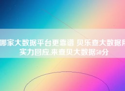 哪家大数据平台更靠谱 贝乐查大数据用实力回应,来查贝大数据50分