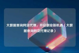 大数据查询网贷代理，开启副业新机遇（大数据查询网贷代理记录）