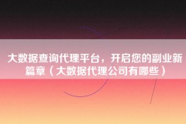 大数据查询代理平台，开启您的副业新篇章（大数据代理公司有哪些）