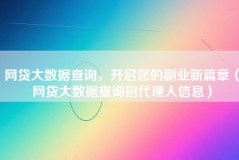 网贷大数据查询，开启您的副业新篇章（网贷大数据查询招代理人信息）