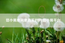 信小易查询是真实的吗,信小易平台
