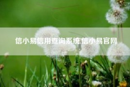 信小易信用查询系统,信小易官网