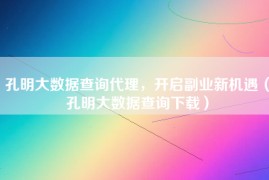 孔明大数据查询代理，开启副业新机遇（孔明大数据查询下载）