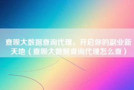查呗大数据查询代理，开启你的副业新天地（查呗大数据查询代理怎么查）