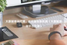 大数据查询代理，开启副业新机遇（大数据查询平台代理）