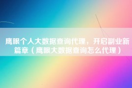 鹰眼个人大数据查询代理，开启副业新篇章（鹰眼大数据查询怎么代理）