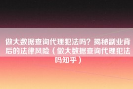 做大数据查询代理犯法吗？揭秘副业背后的法律风险（做大数据查询代理犯法吗知乎）