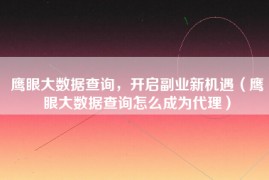 鹰眼大数据查询，开启副业新机遇（鹰眼大数据查询怎么成为代理）
