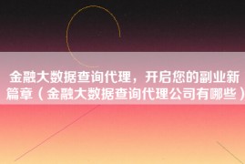 金融大数据查询代理，开启您的副业新篇章（金融大数据查询代理公司有哪些）