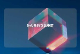 什么是独立站电商