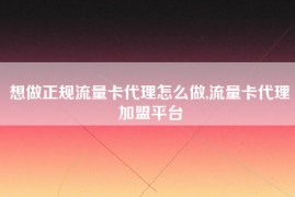 想做正规流量卡代理怎么做,流量卡代理加盟平台
