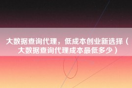 大数据查询代理，低成本创业新选择（大数据查询代理成本最低多少）