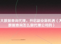 大数据查询代理，开启副业新机遇（大数据查询怎么做代理公司的）