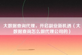 大数据查询代理，开启副业新机遇（大数据查询怎么做代理公司的）