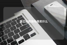 独立站跨境电商卖什么