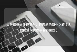 大数据查询代理平台，开启您的副业之旅（大数据查询代理平台有哪些）