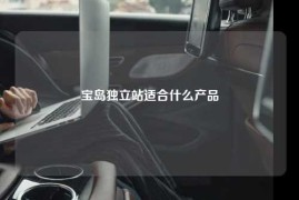 宝岛独立站适合什么产品