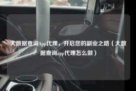 大数据查询App代理，开启您的副业之路（大数据查询app代理怎么做）