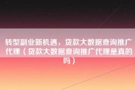 转型副业新机遇，贷款大数据查询推广代理（贷款大数据查询推广代理是真的吗）