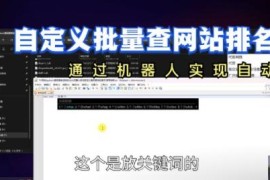 机器人实现自动化自定义批量查自己网站在百度的排名