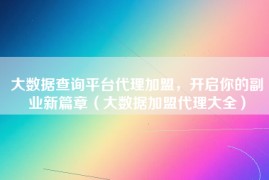大数据查询平台代理加盟，开启你的副业新篇章（大数据加盟代理大全）