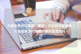 大数据查询代理推广兼职，开启副业新篇章（大数据查询代理推广兼职是真的吗）