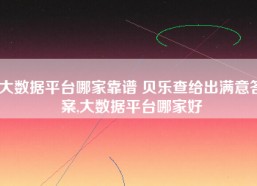 大数据平台哪家靠谱 贝乐查给出满意答案,大数据平台哪家好