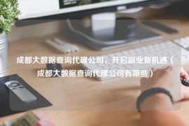 成都大数据查询代理公司，开启副业新机遇（成都大数据查询代理公司有哪些）