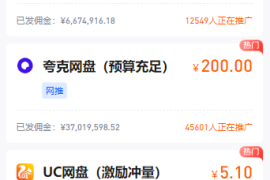 2024年能做的互联网好的项目有哪些？