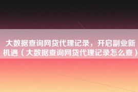 大数据查询网贷代理记录，开启副业新机遇（大数据查询网贷代理记录怎么查）