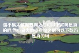 信小易大数据查询之后可以下款吗是真的吗,信小易大数据查询之后可以下款吗是真的吗