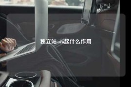 独立站 seo起什么作用