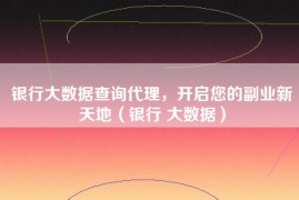 银行大数据查询代理，开启您的副业新天地（银行 大数据）