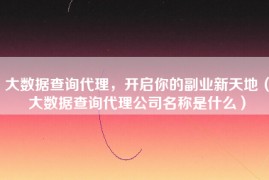 大数据查询代理，开启你的副业新天地（大数据查询代理公司名称是什么）