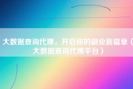 大数据查询代理，开启你的副业新篇章（大数据查询代理平台）