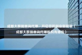 成都大数据查询代理，开启您的副业新篇章（成都大数据查询代理机构有哪些）