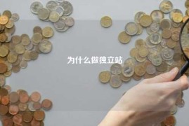 为什么做独立站